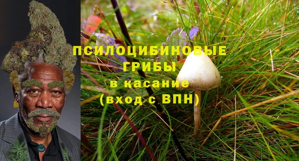 тгк Балабаново